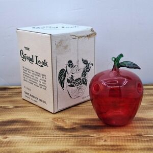 Red Apple Hand-blown Hanging Propagation Air Plant‎ Glass Sears Box
